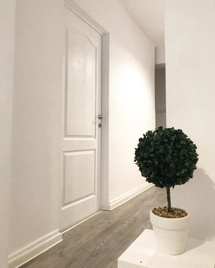 Ultracentral Apt With City Center View - Smart Tv - Ac ทิมิชัวรา ภายนอก รูปภาพ